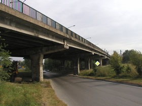 Wybrana grafika