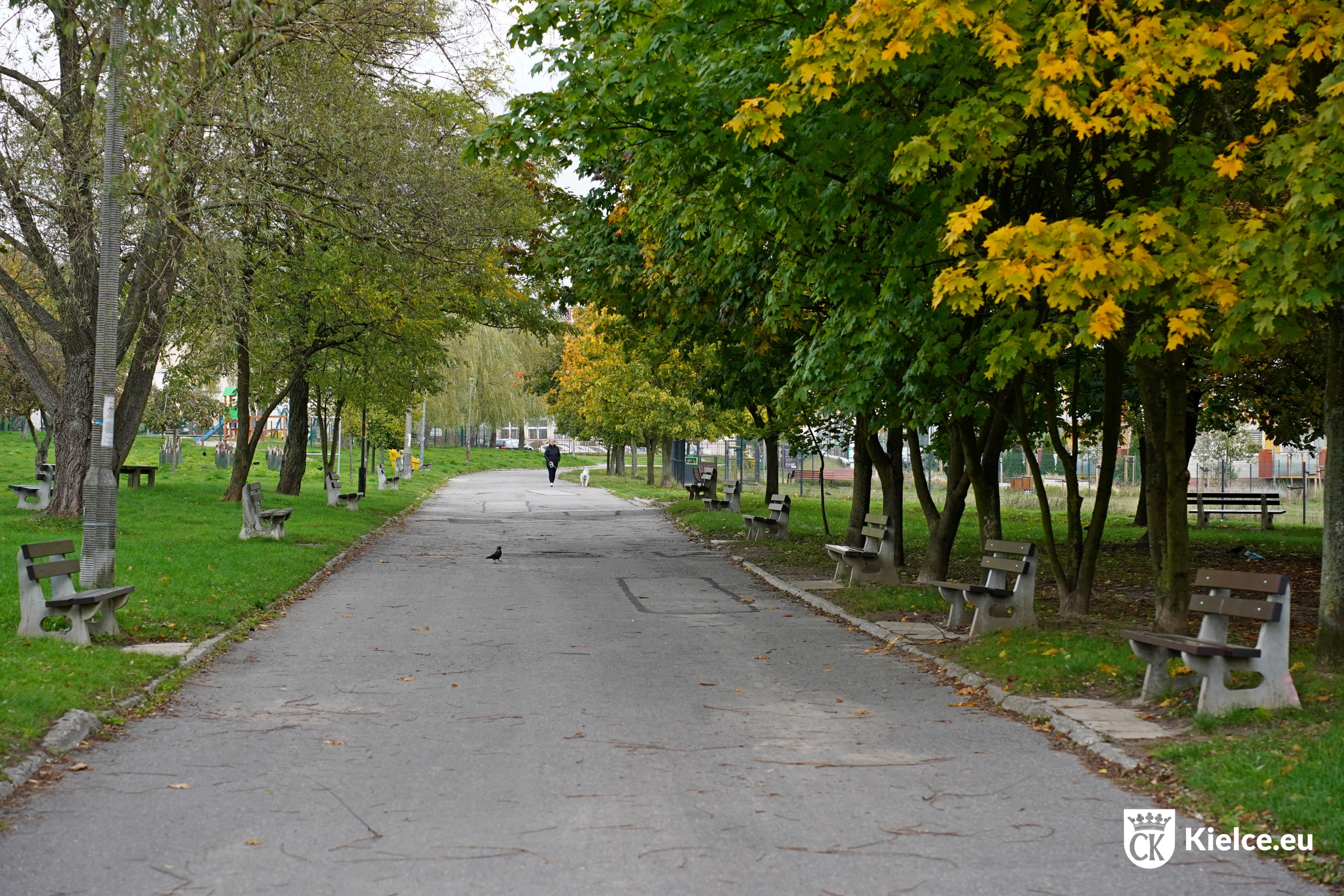 Umowa na “Broadway” podpisana